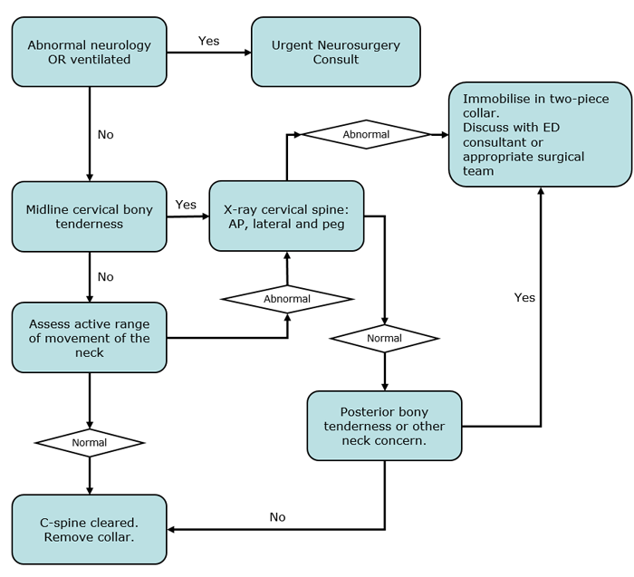 Assessment of the Cervical Spine Assessment of the Cervical Spine